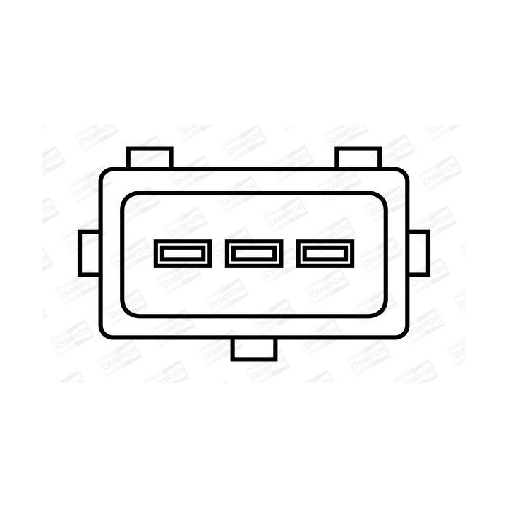 Ritė, uždegimas CHAMPION BAE920AX/245