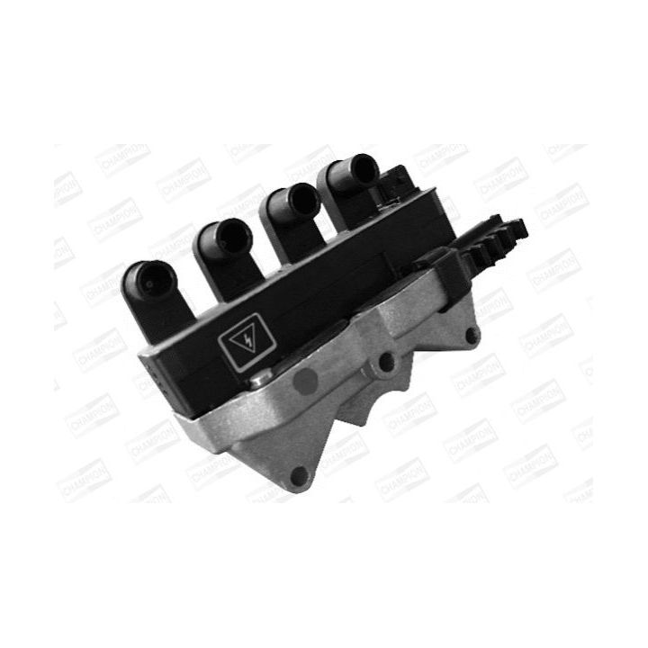 Ritė, uždegimas CHAMPION BAE920AX/245