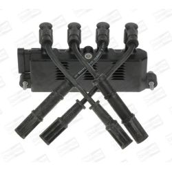 Ritė, uždegimas CHAMPION BAE940A/245