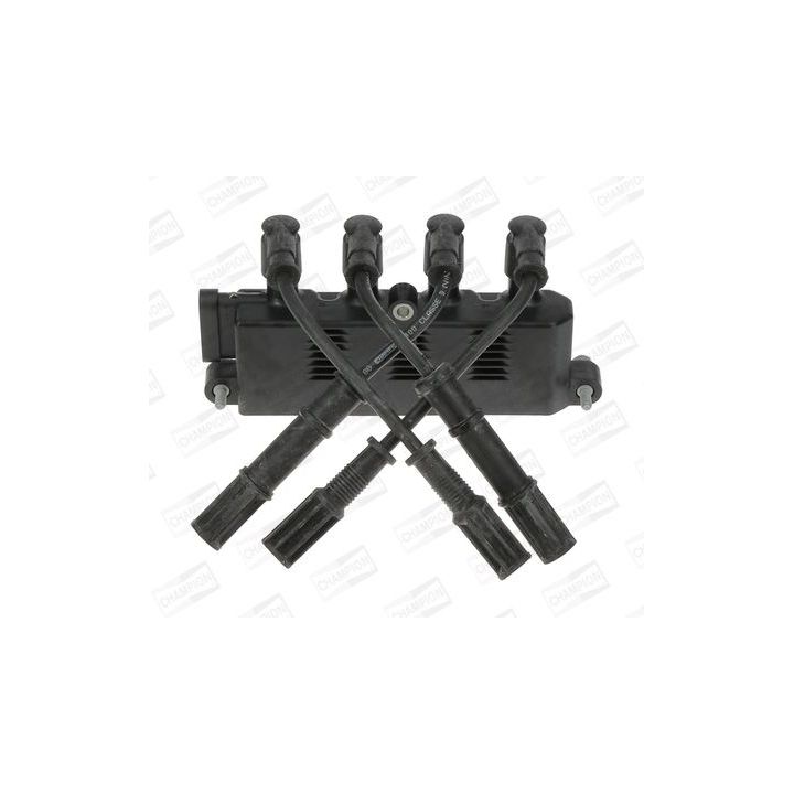 Ritė, uždegimas CHAMPION BAE940A/245