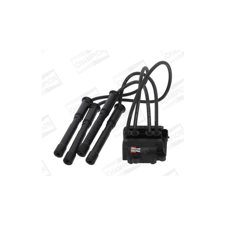 Ritė, uždegimas CHAMPION BAE947A/245