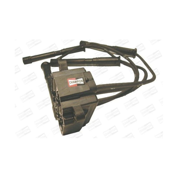 Ritė, uždegimas CHAMPION BAE947A/245