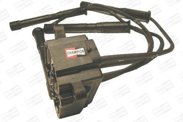 Ritė, uždegimas CHAMPION BAE947A/245