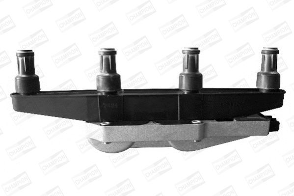 Ritė, uždegimas CHAMPION BAE960AE/245