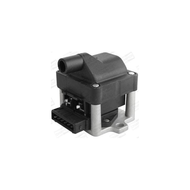 Ritė, uždegimas CHAMPION BAEA002E