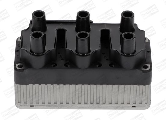 Ritė, uždegimas CHAMPION BAEA004E