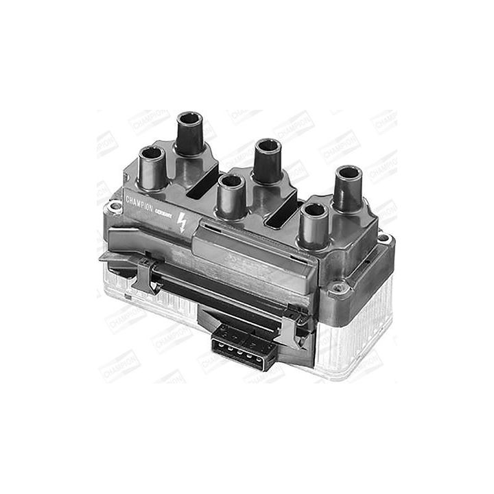 Ritė, uždegimas CHAMPION BAEA004E