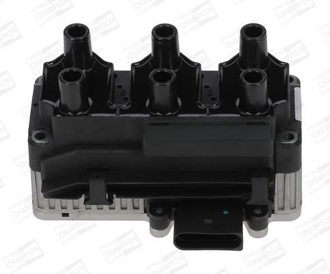 Ritė, uždegimas CHAMPION BAEA013E