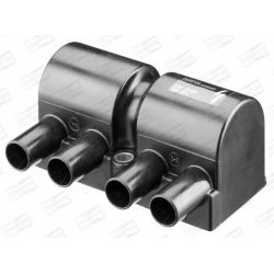 Ritė, uždegimas CHAMPION BAEA025E