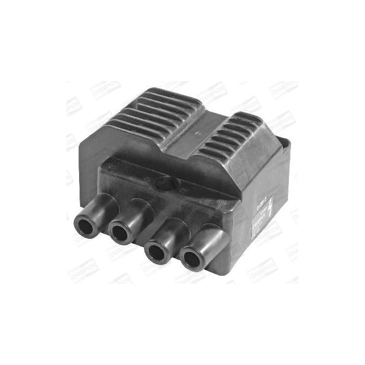 Ritė, uždegimas CHAMPION BAEA026E