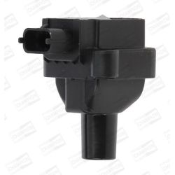 Ritė, uždegimas CHAMPION BAEA030