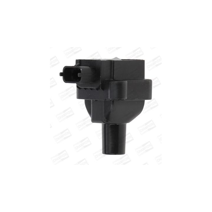 Ritė, uždegimas CHAMPION BAEA030