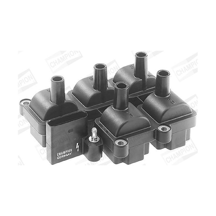 Ritė, uždegimas CHAMPION BAEA037
