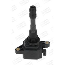 Ritė, uždegimas CHAMPION BAEA066E