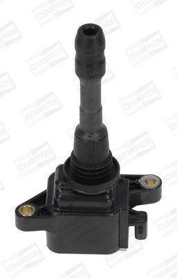 Ritė, uždegimas CHAMPION BAEA066E