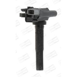 Ritė, uždegimas CHAMPION BAEA069E