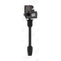 Ritė, uždegimas CHAMPION BAEA073E