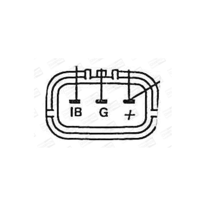 Ritė, uždegimas CHAMPION BAEA073E