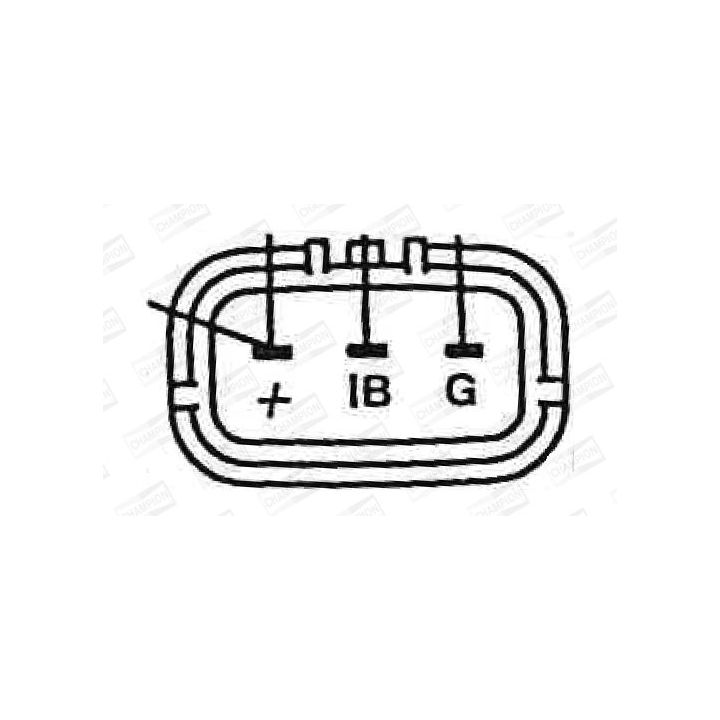 Ritė, uždegimas CHAMPION BAEA079E