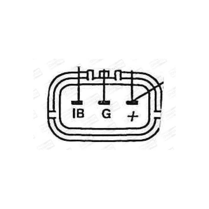 Ritė, uždegimas CHAMPION BAEA083E