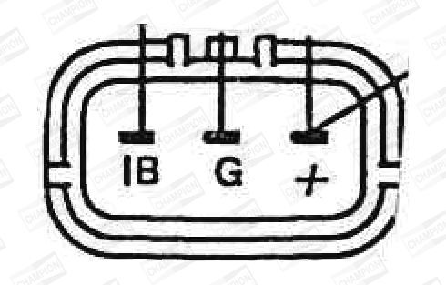 Ritė, uždegimas CHAMPION BAEA083E
