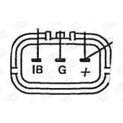Ritė, uždegimas CHAMPION BAEA084E