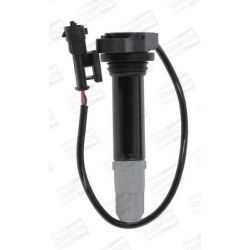 Ritė, uždegimas CHAMPION BAEA085