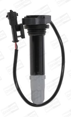 Ritė, uždegimas CHAMPION BAEA085