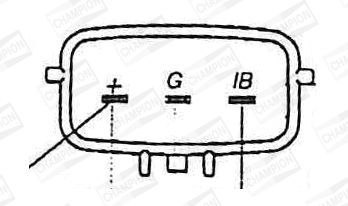 Ritė, uždegimas CHAMPION BAEA088E