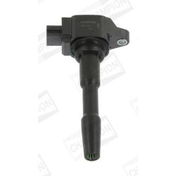 Ritė, uždegimas CHAMPION BAEA131E