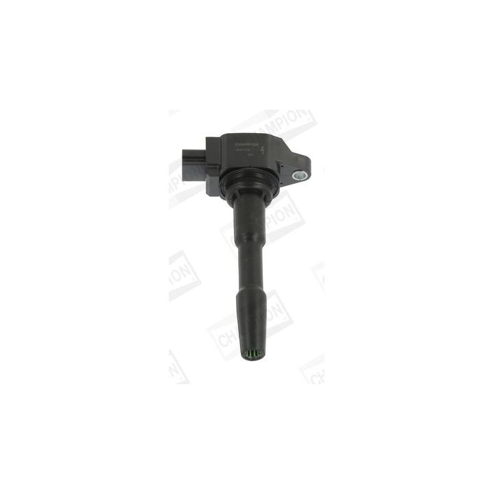 Ritė, uždegimas CHAMPION BAEA131E