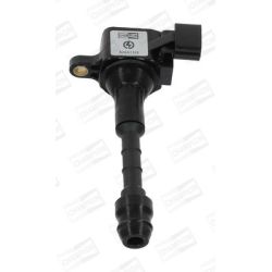 Ritė, uždegimas CHAMPION BAEA132E