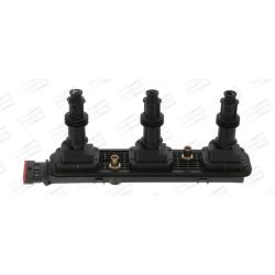 Ritė, uždegimas CHAMPION BAEA152E