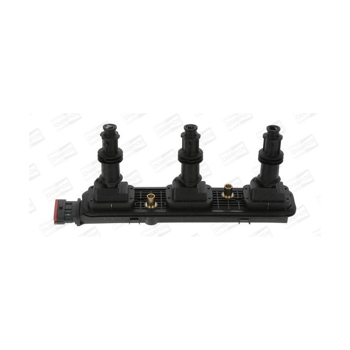 Ritė, uždegimas CHAMPION BAEA152E