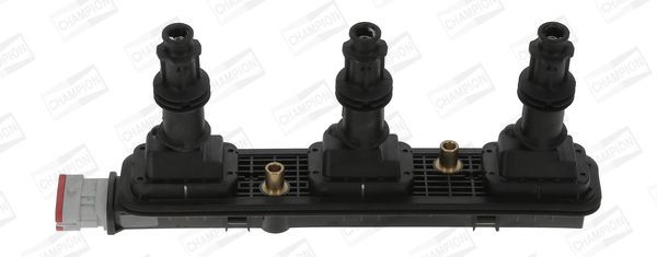 Ritė, uždegimas CHAMPION BAEA153E