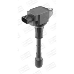 Ritė, uždegimas CHAMPION BAEA158E