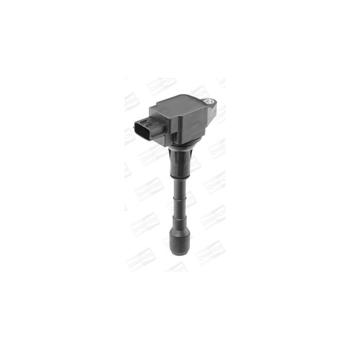 Ritė, uždegimas CHAMPION BAEA158E