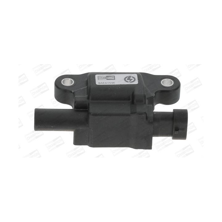 Ritė, uždegimas CHAMPION BAEA159E