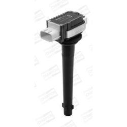 Ritė, uždegimas CHAMPION BAEA161E