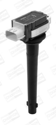 Ritė, uždegimas CHAMPION BAEA161E