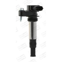 Ritė, uždegimas CHAMPION BAEA174E