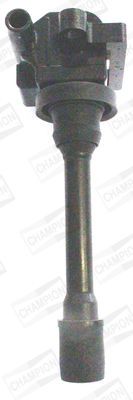 Ritė, uždegimas CHAMPION BAEA179E