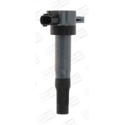 Ritė, uždegimas CHAMPION BAEA189E