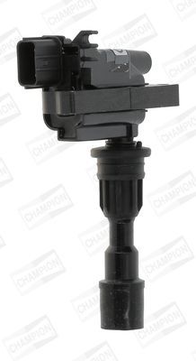 Ritė, uždegimas CHAMPION BAEA190E