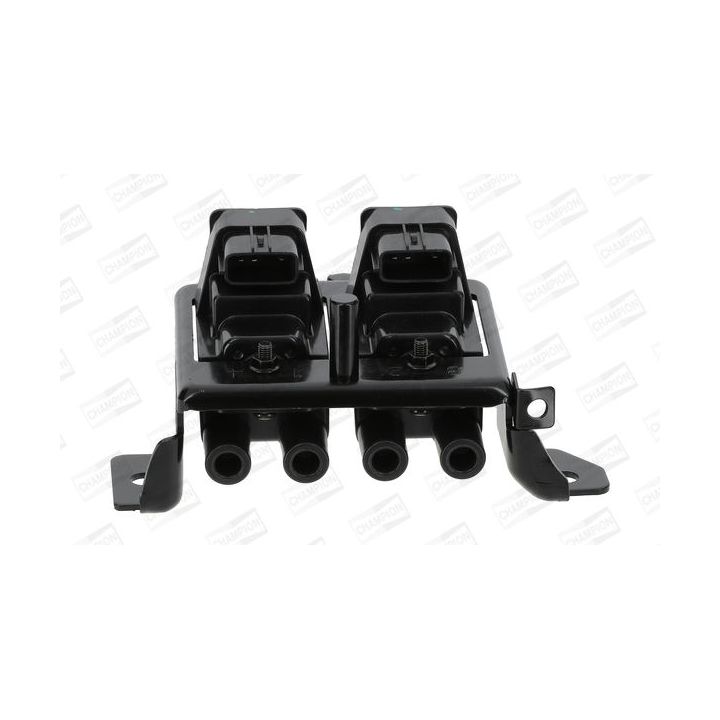 Ritė, uždegimas CHAMPION BAEA195E