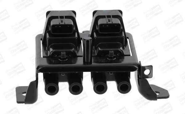 Ritė, uždegimas CHAMPION BAEA195E