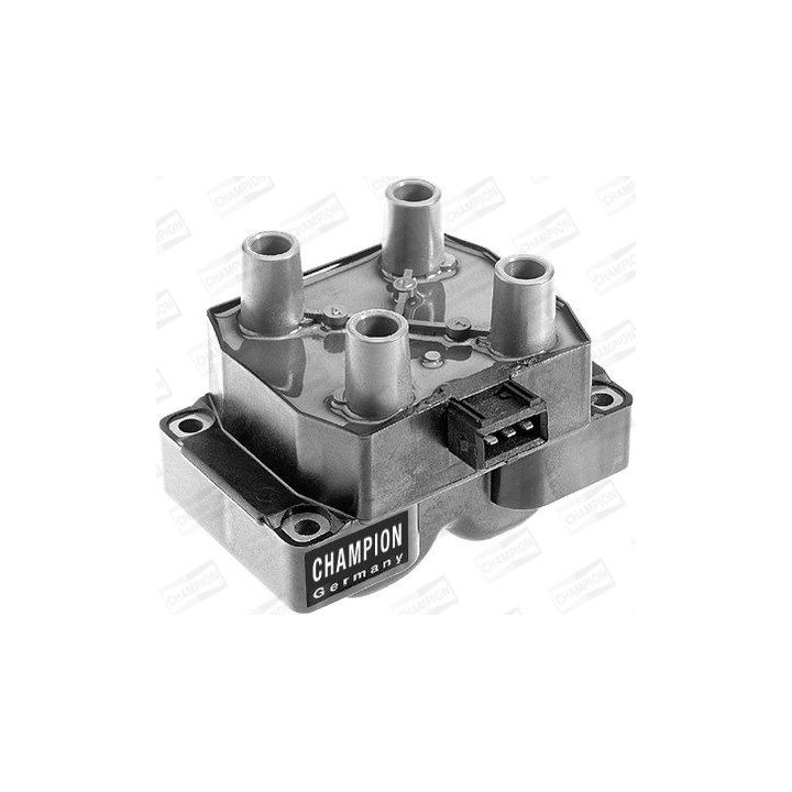 Ritė, uždegimas CHAMPION BAEA234