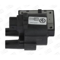 Ritė, uždegimas CHAMPION BAEA242