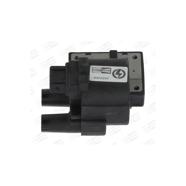 Ritė, uždegimas CHAMPION BAEA242