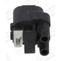 Ritė, uždegimas CHAMPION BAEA243